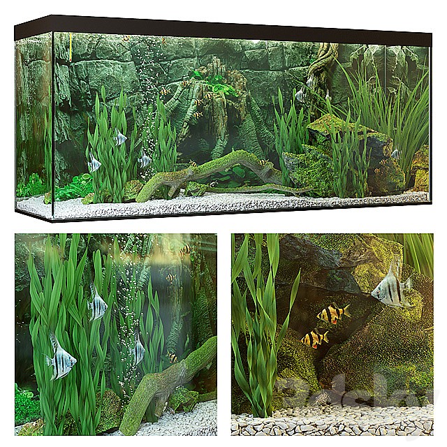 Aquarium