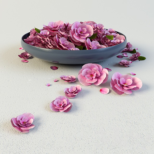 dish flowers