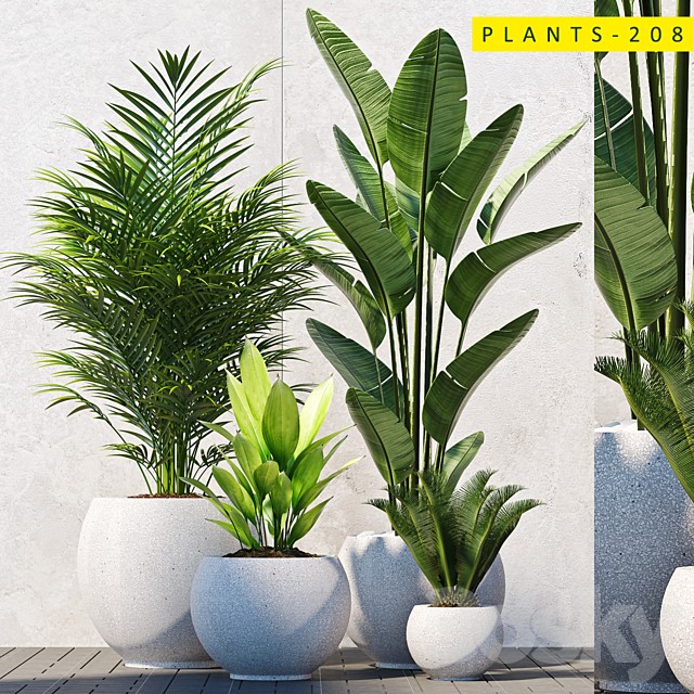 plants 208