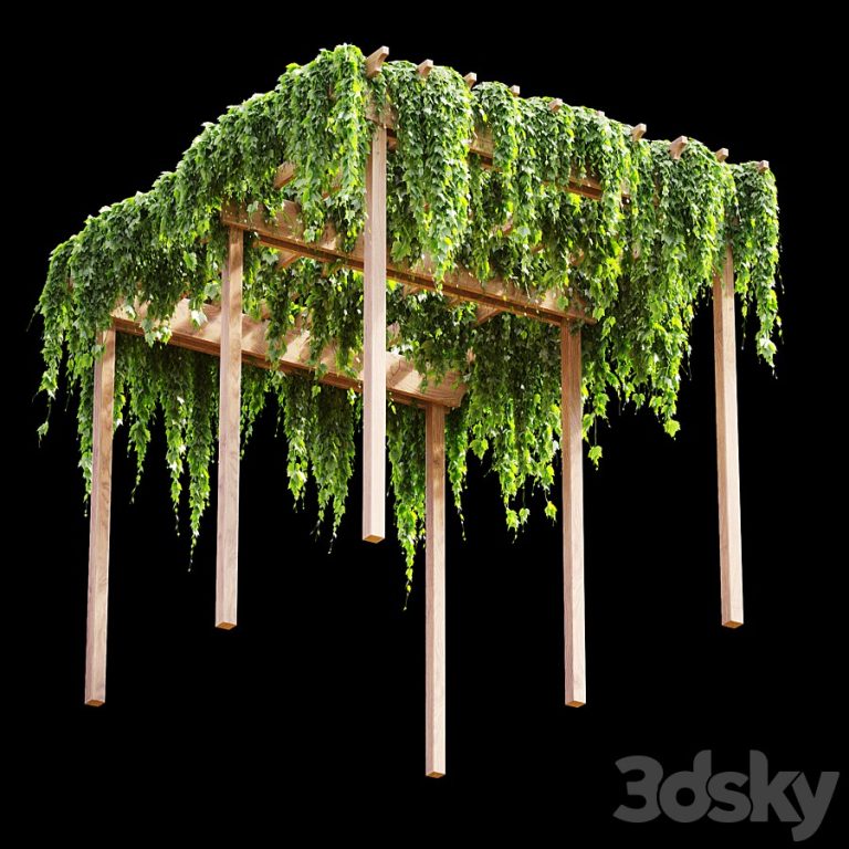 Pergola with grape leaves v2