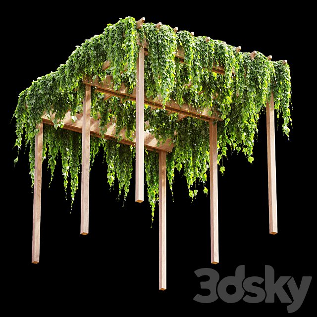 Pergola with grape leaves v2