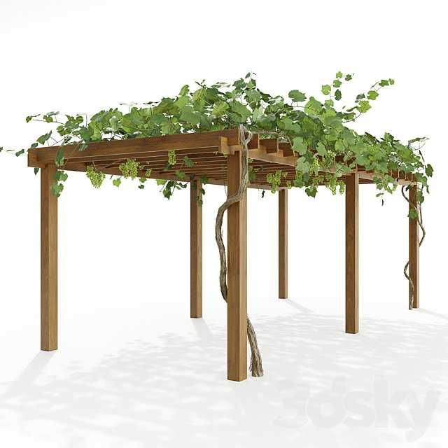 Pergola with grapes