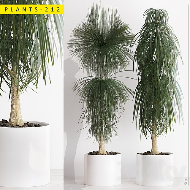 PLANTS 212