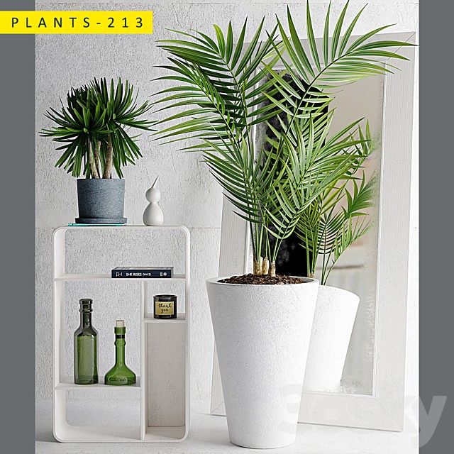 plants 213