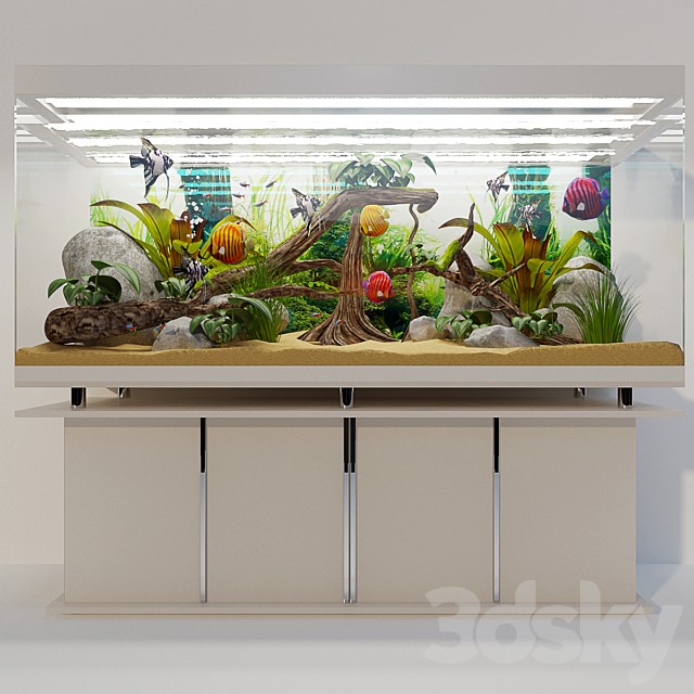 Aquarium "Tropiki"