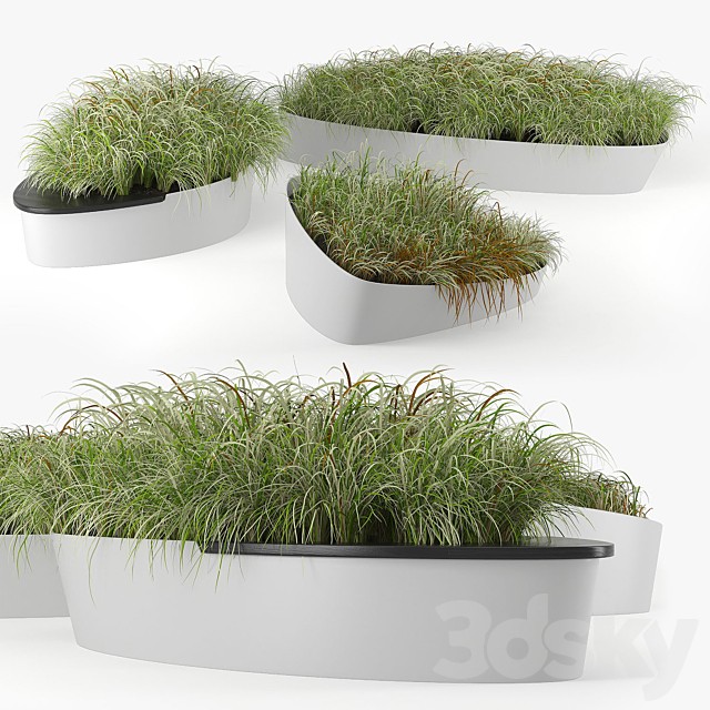 Planterworx Dune