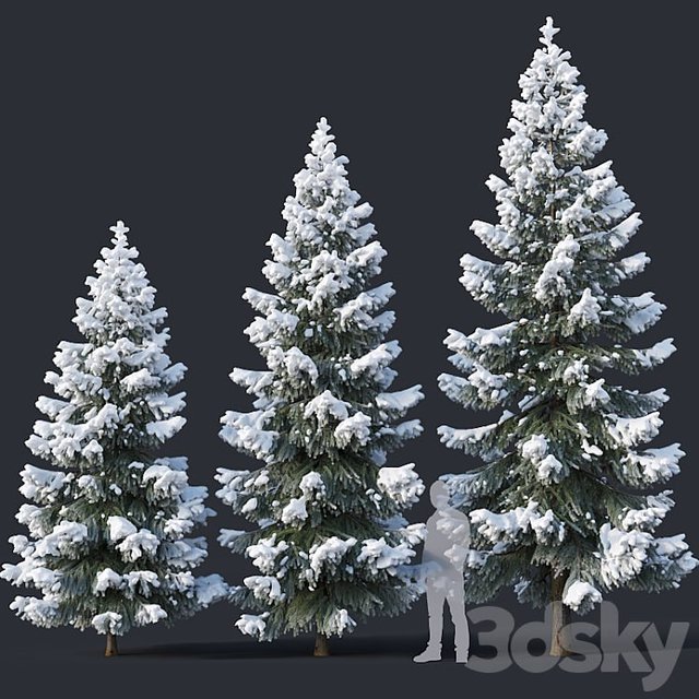 #winter #snow #snowed #tree #forest #needles #spruce #christmas #picea #abies #fir #evergreen #coniferous #fir_tree #pinaceae #conifer #frost