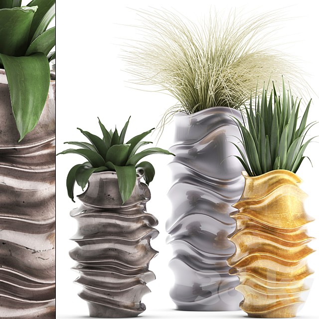 Plant collection 289. luxury flowerpot, pot, grass, agave, interior plants, luxury decor