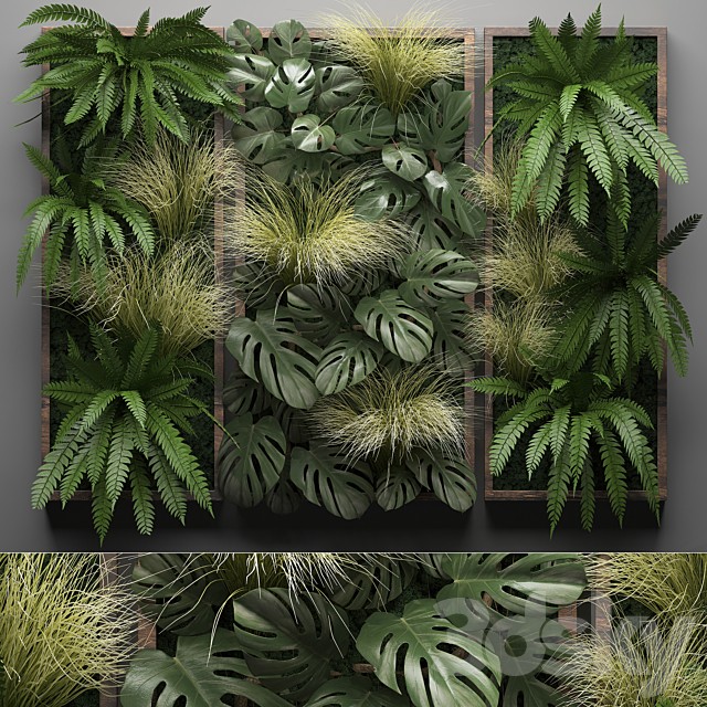 Vertical garden 28. Phytowall, picture, grass, fern, monstera, wall decor, phytomodule, vertical garden