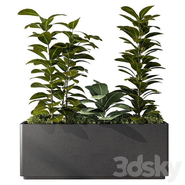 Indoor Plant Set.361