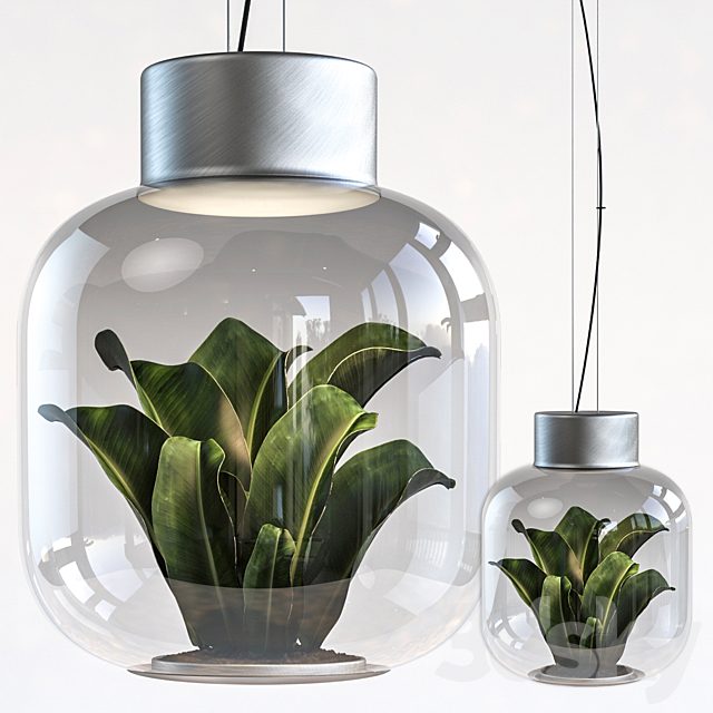 Plant Light
