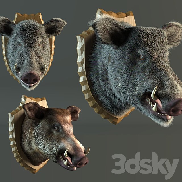 stuffed wild boar