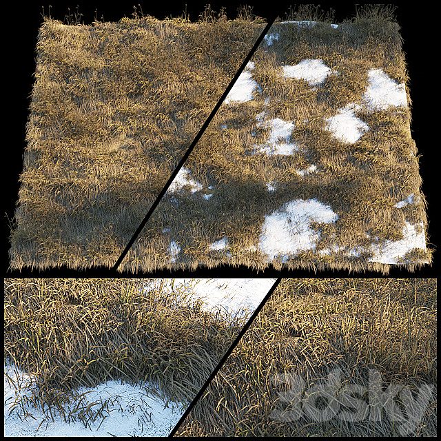 Dry grass | Thaw pollen