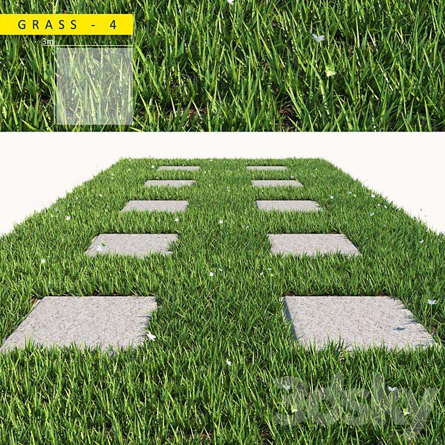 grass 4