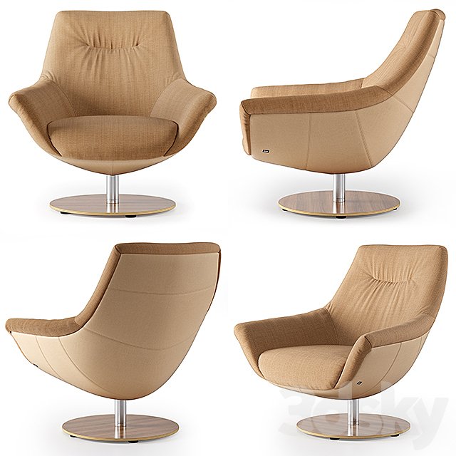 Armchair Rolf Benz 566 (2)