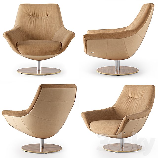 Armchair Rolf Benz 566 (2)
