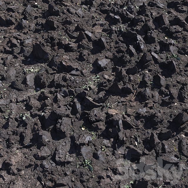 Plowed land 1
