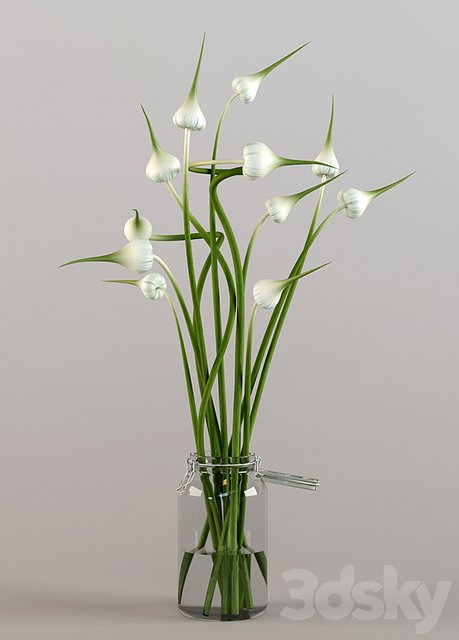 Decor for kitchen-garlic