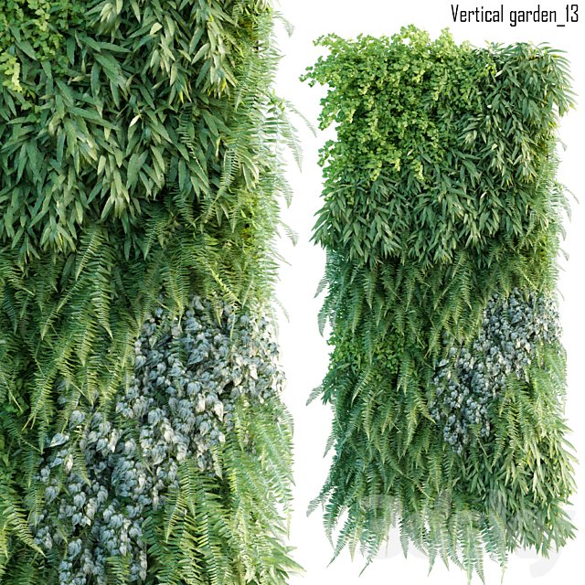Vertical garden 13
