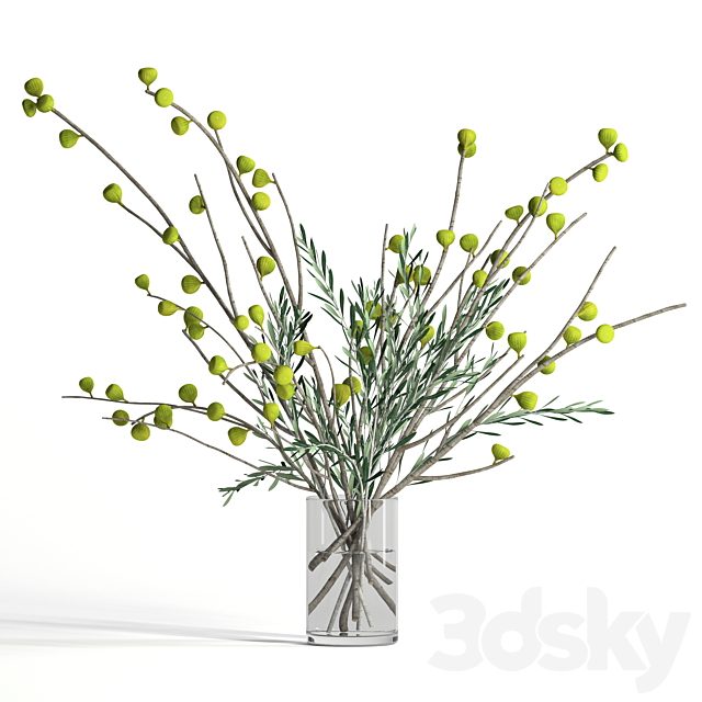 Fig and olive branches