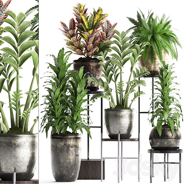 Plant Collection 362. luxury flowerpot, croton, fern, Zamioculcas, indoor plants, luxury flowerpot, flower stand, interior