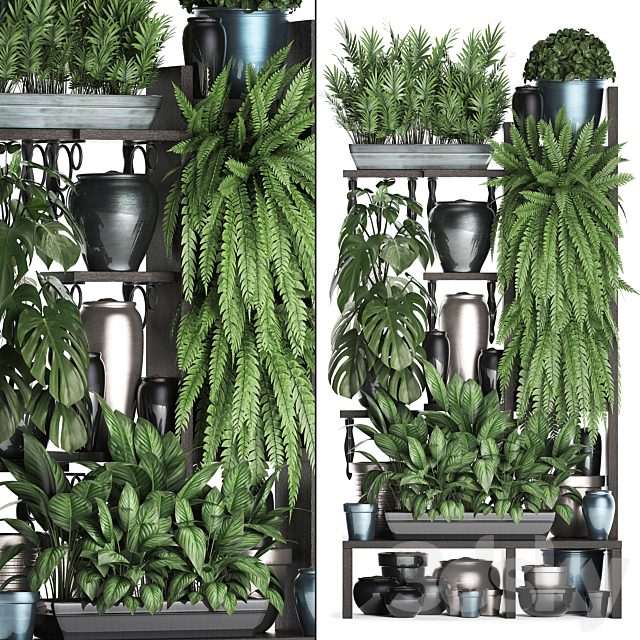 Plant Collection 371. Shelf with flowers, ficus lyrata, monstera, flowerpot, greenery, vertical garden, phytowall, phytomodule, pots, eco design, Scandinavian style