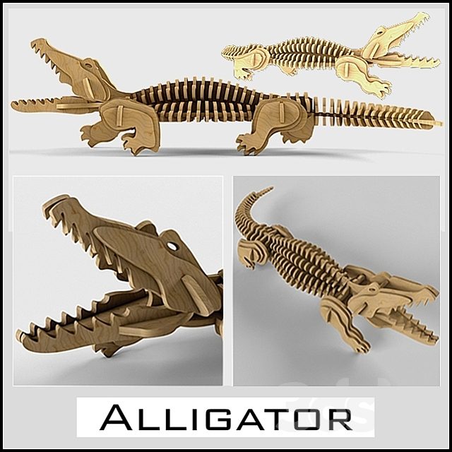 Alligator