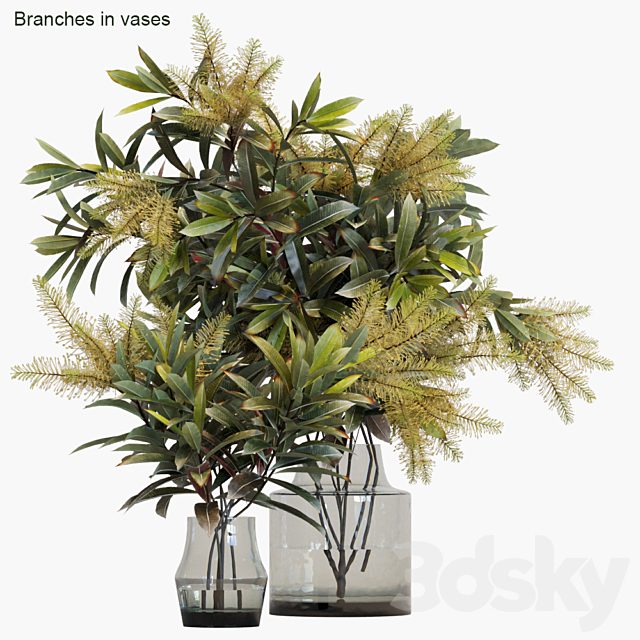 Branches in vases #10