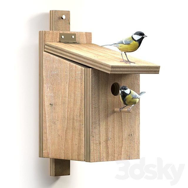 Great Tits at artificial nest