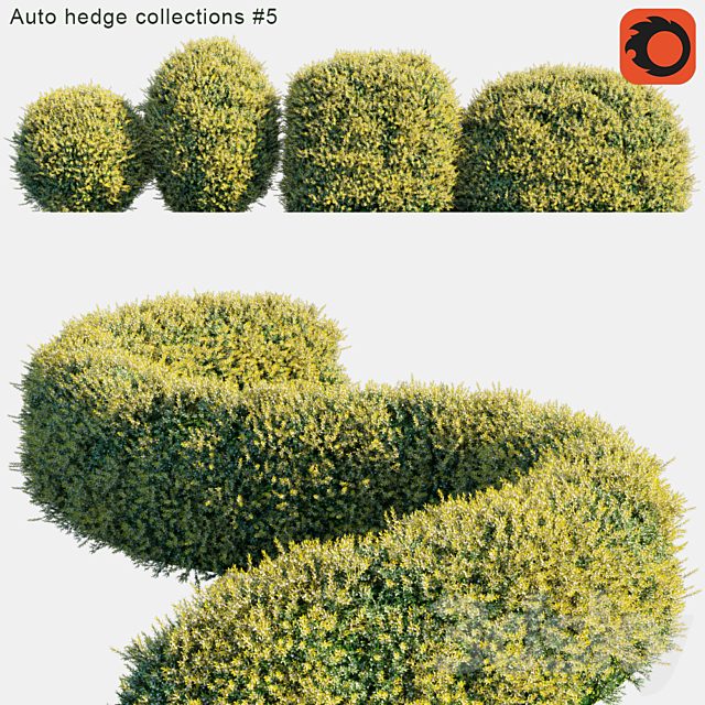 Auto hedge collections #5