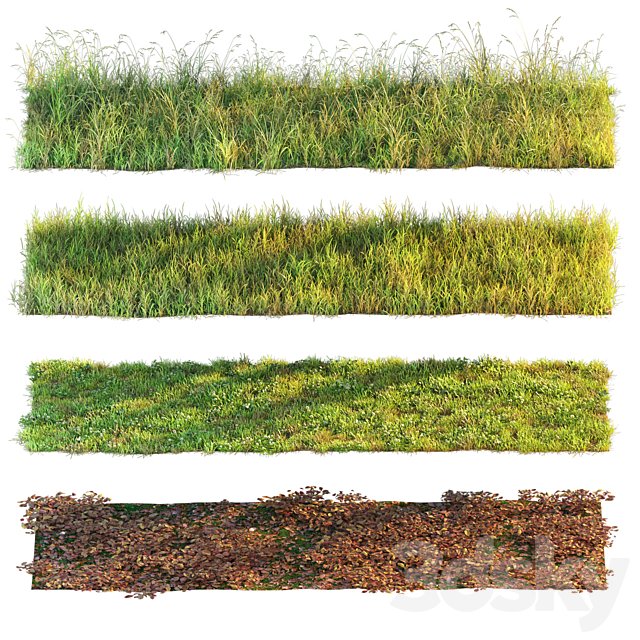 Set of grass and leaves.