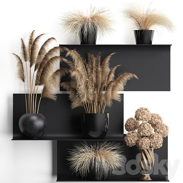 A collection of bouquets of dried flowers in vases on a black metal shelf with pampas, dry hydrangea, Cortaderia. Set 90.