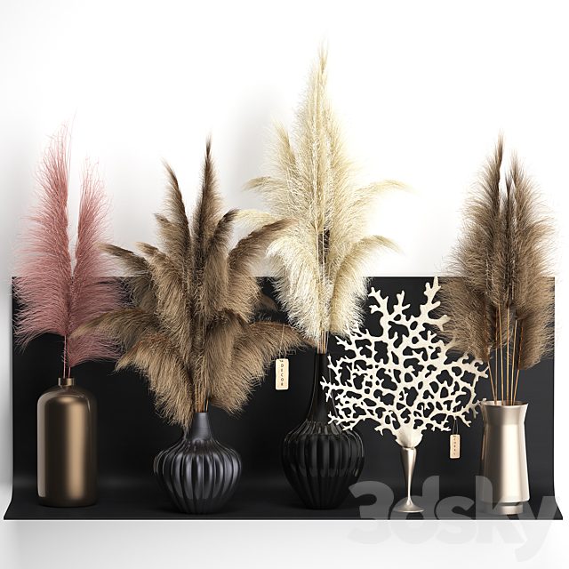 A collection of bouquets of dried flowers in vases on a black metal shelf with pampas, coral, Cortaderia. Set 11.