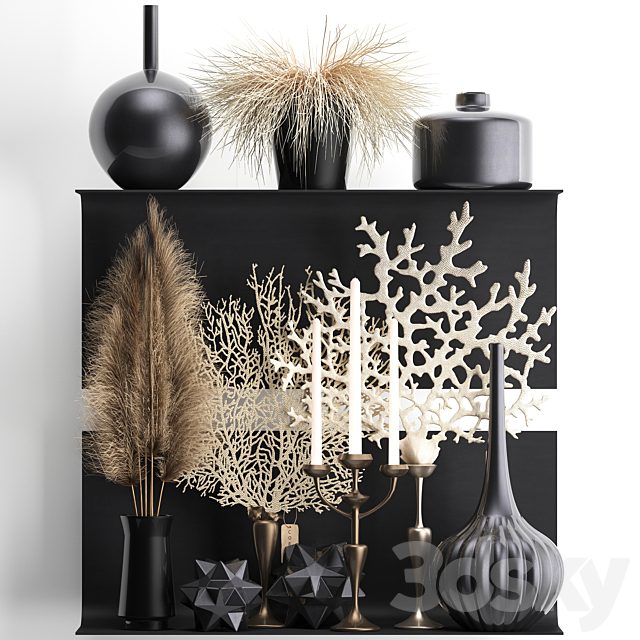 A collection of bouquets of dried flowers in vases on a black metal shelf with pampas, coral, Cortaderia, candlestick. Set 12.