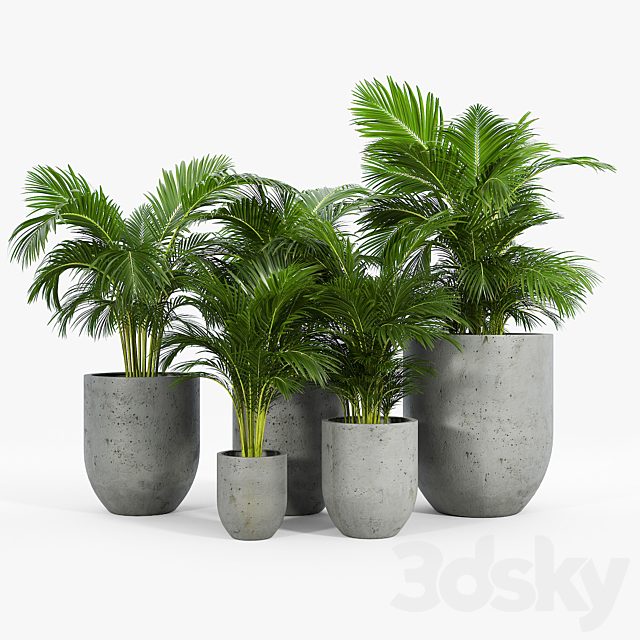 Neo Planter
