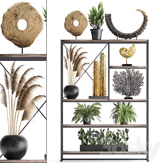 Decorative set 14. Decor shelf, tusk, pampas grass, dried flower, coral, cactus, fern, rack, loft decor