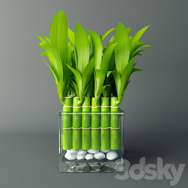 Bamboo room