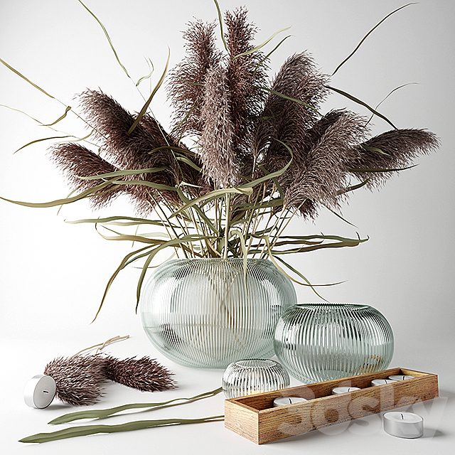 Bouquet of dry grass in a glass vase