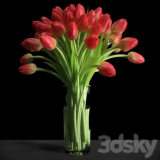 Red Tulips / Red tulips