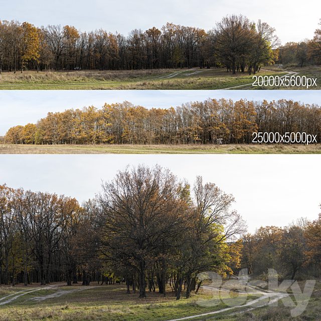 Oak Grove. 2 panoramas