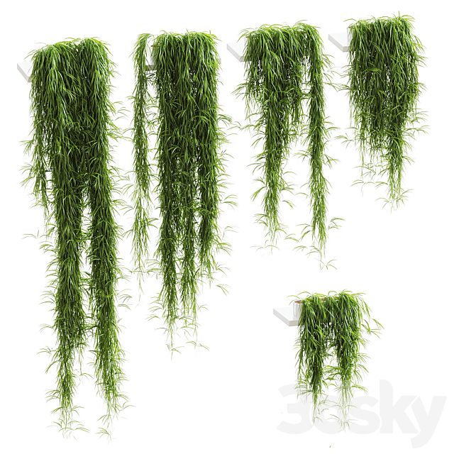 Hanging plants for shelves. 5 models. set 1