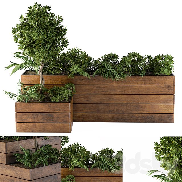 outdoor-plants Flower Box