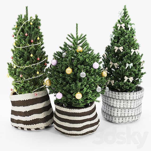 Christmas tree 2020