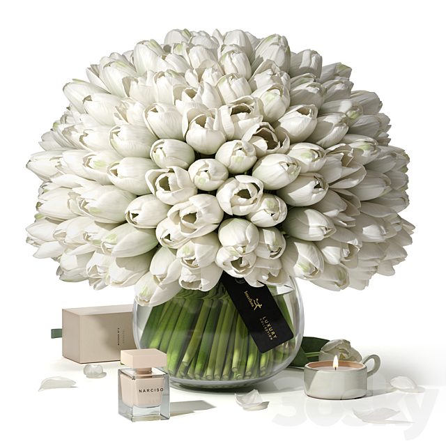 Tulips Interflora Luxury Collection