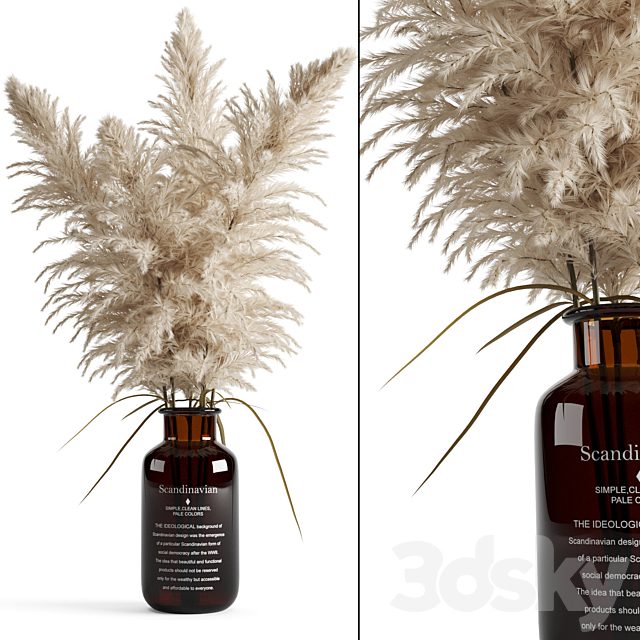 Cortaderia (pampas grass) in a vase