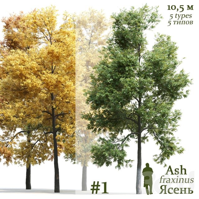 #plants #tree