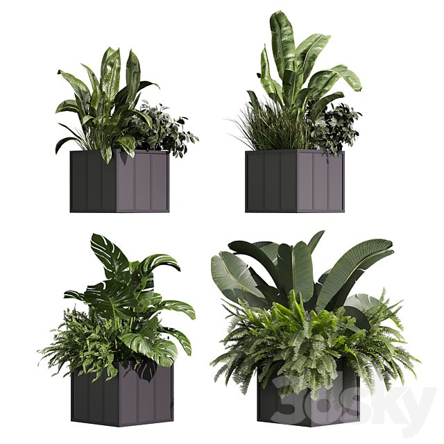 plant vol 1288