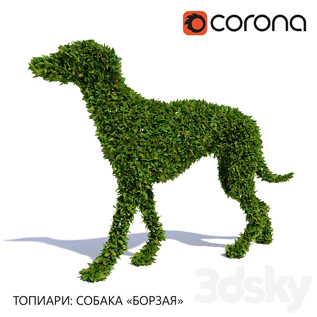 Topiary: Dog "Greyhound"