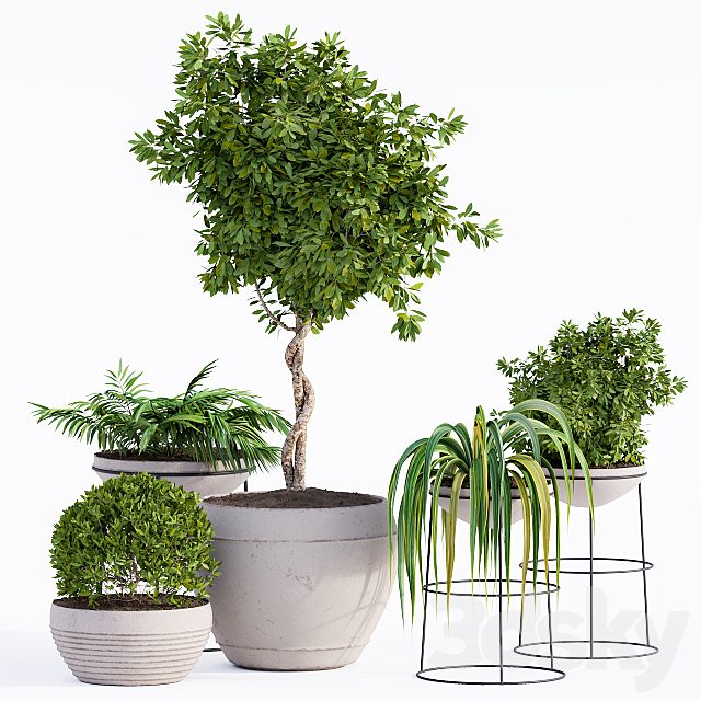 Outdoor Plants Full Set