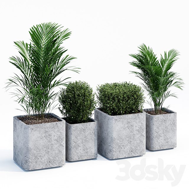 Conc pot